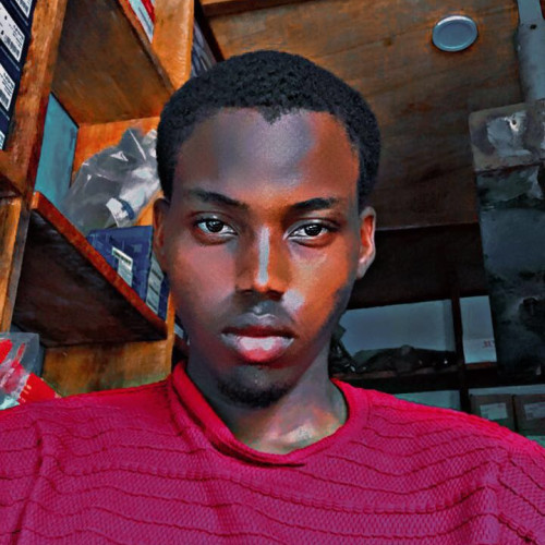 Chiemerie C. profile photo