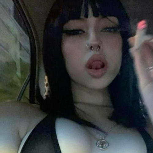 Holly T. profile photo