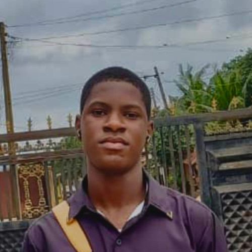 Wisdom  A. profile photo
