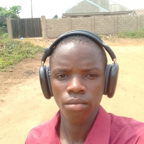 Bolaji  O. profile photo