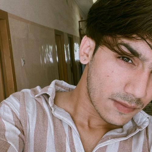 Bhuvnesh R.