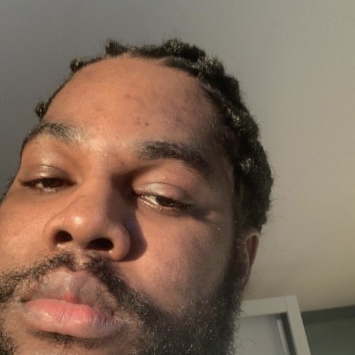 Reno N. profile photo