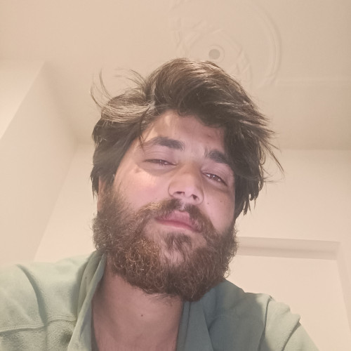 Nadeem N. profile photo