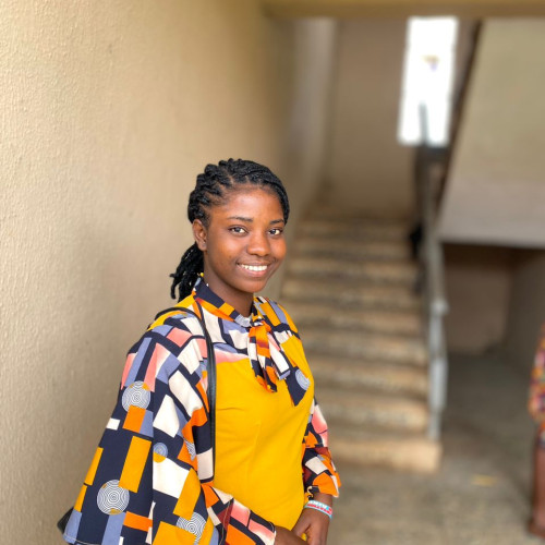 Adeyemi Pelumi O. profile photo