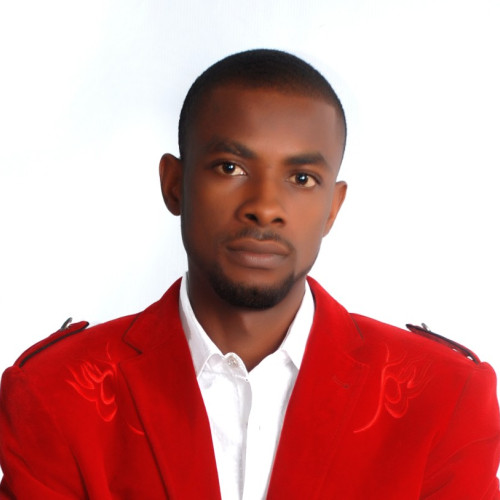 Ifeanyi  U. profile photo