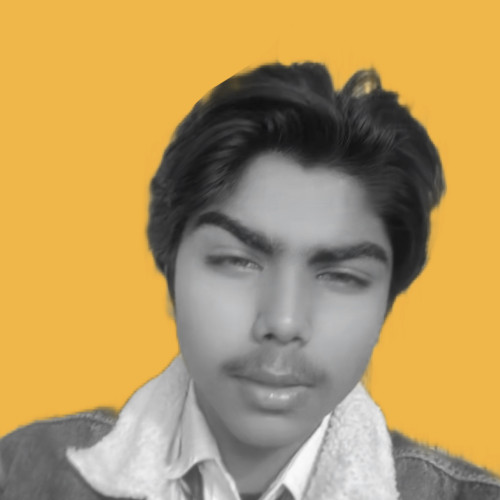 Ali H. profile photo