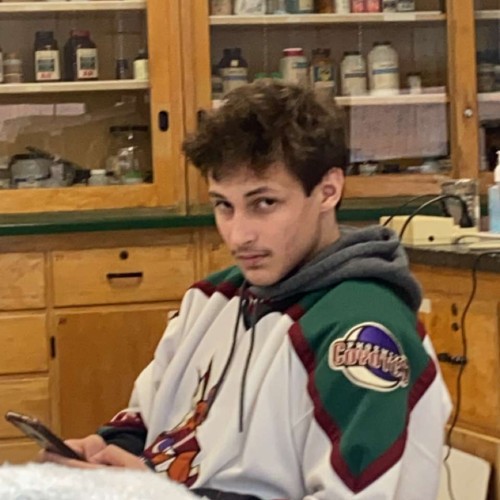 Matthew N. profile photo