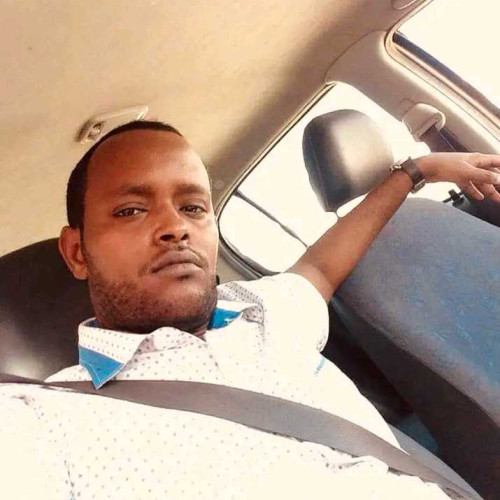 Ali M. profile photo