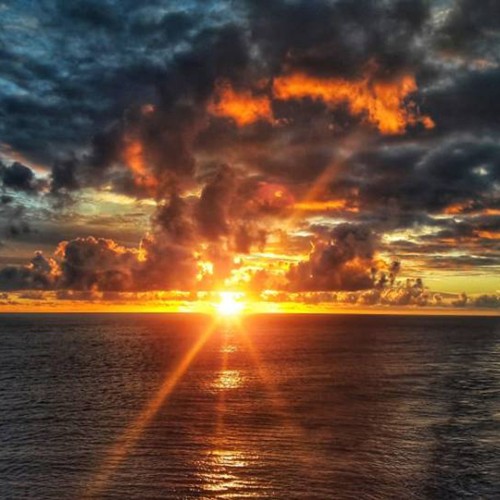 YASSIR F. profile photo