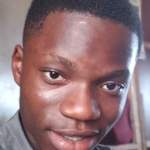David  U. profile photo