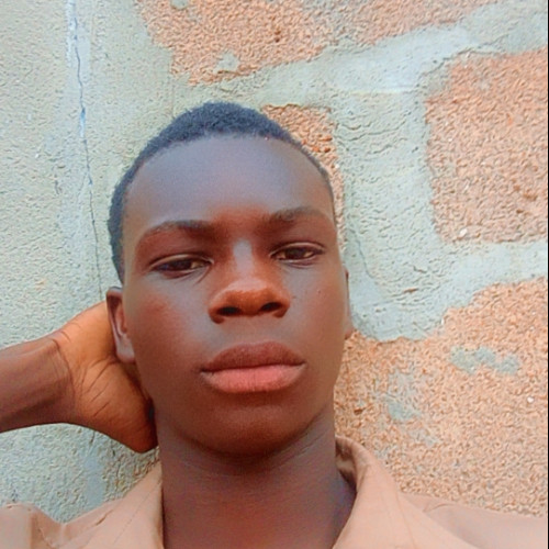 Cheick O. profile photo