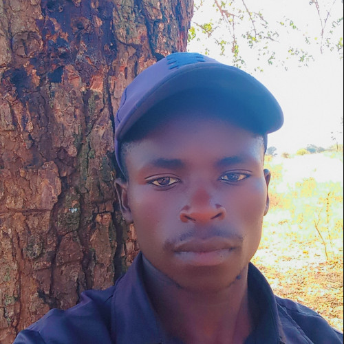 Benard  M. profile photo