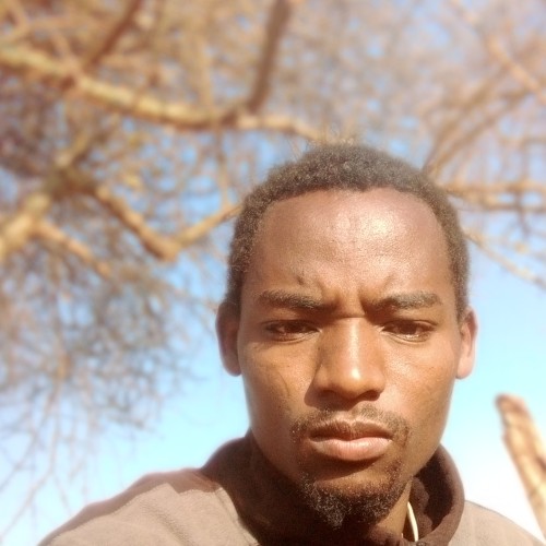 Shalom M. profile photo