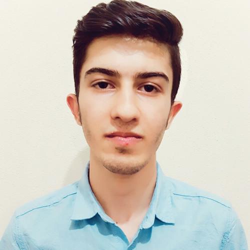 Mohammed T.