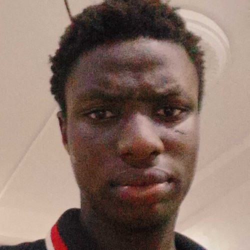 Chrisantus c. profile photo