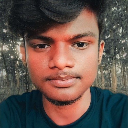 Sakthi V. profile photo
