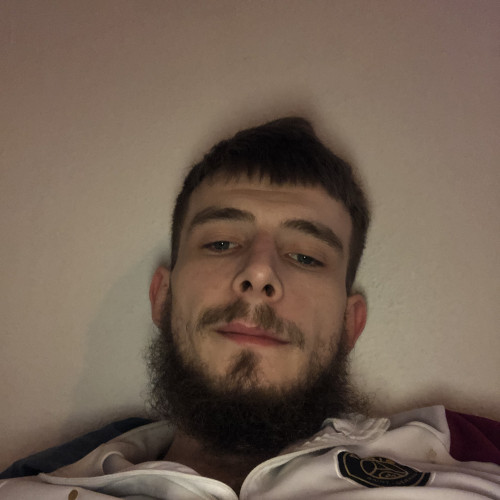 Alexis D. profile photo