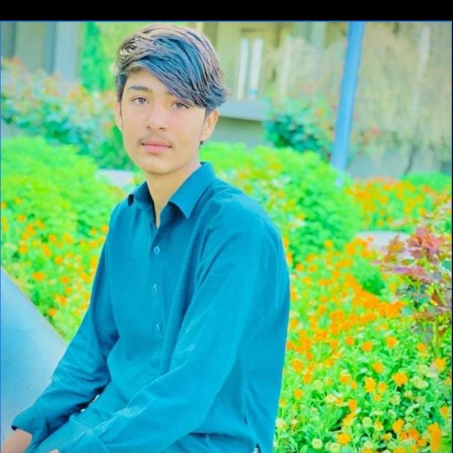 zahoor k.