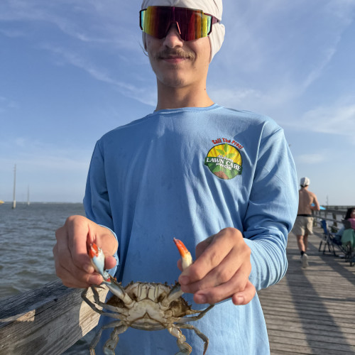 Tommy B. profile photo