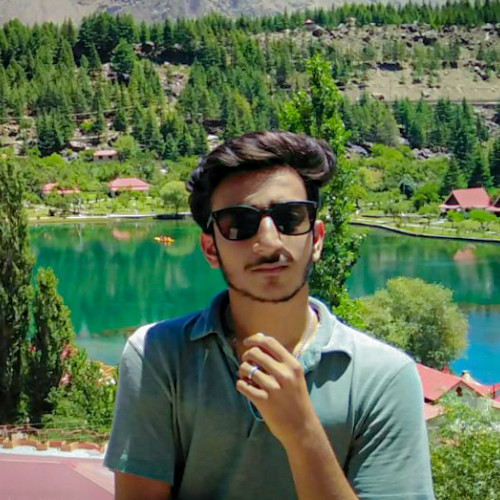 Shahwaiz  R.
