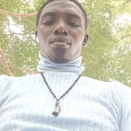 Emmanuel  O. profile photo