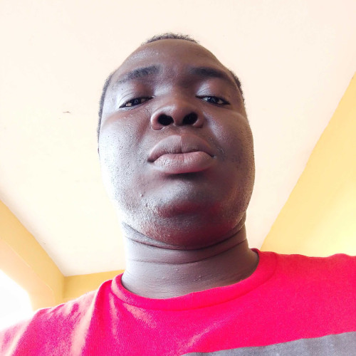 Peter M. profile photo