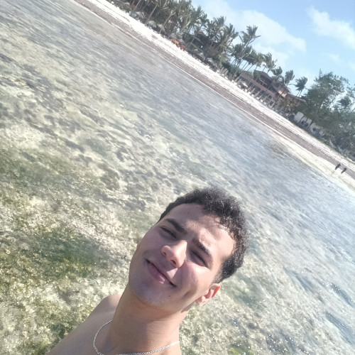 Walid E. profile photo