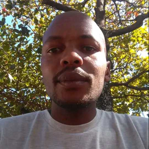 Thabani M. profile photo