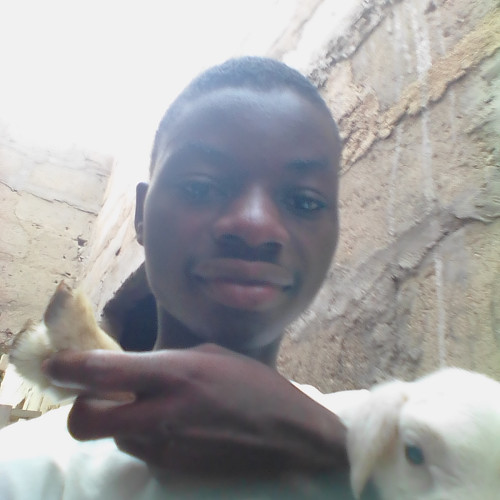 Micheal E. profile photo