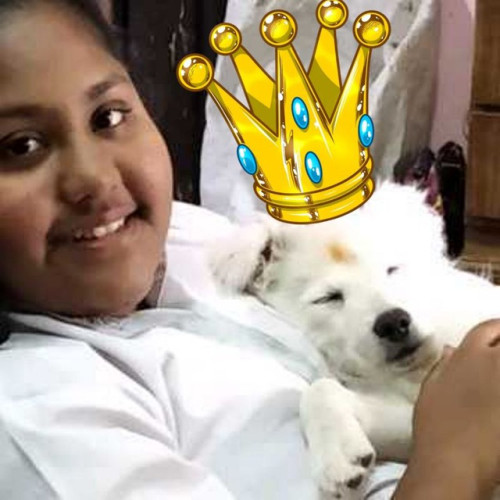 Dishika  G. profile photo