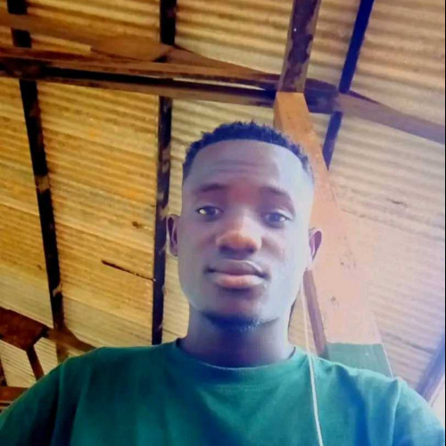 Daniel D. profile photo