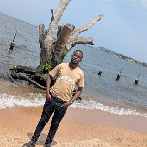 Kapela K. profile photo