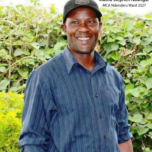 stephen N. profile photo