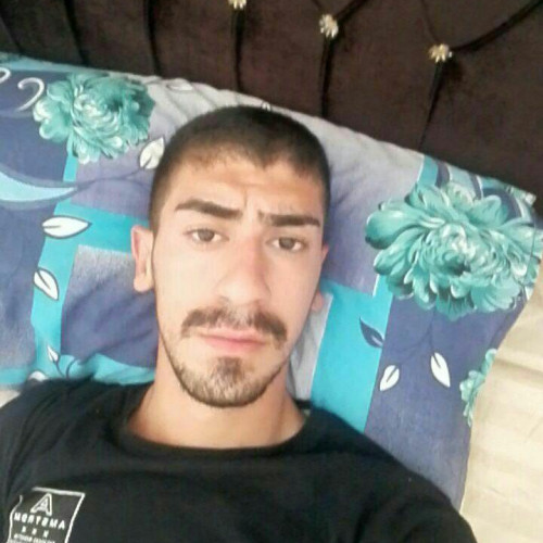 mohmdreza k. profile photo
