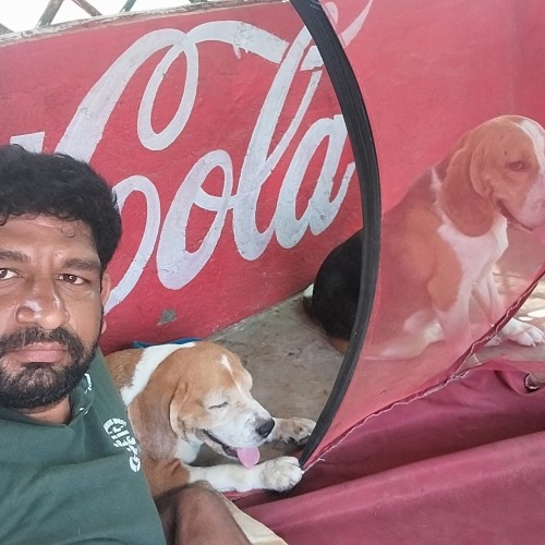 Chaitanya  L.