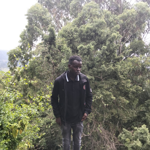 Timothy L. profile photo