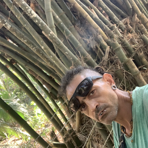 Angel S. profile photo