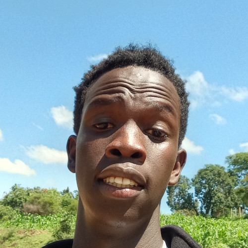 Francis C. profile photo