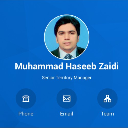Muhammad Haseeb Z.