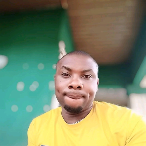 Amesi  N. profile photo