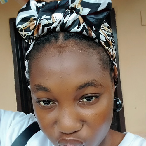 Oluwadamilola  O. profile photo
