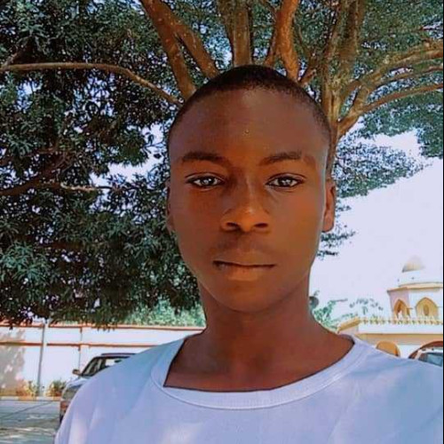 Oyediran F.