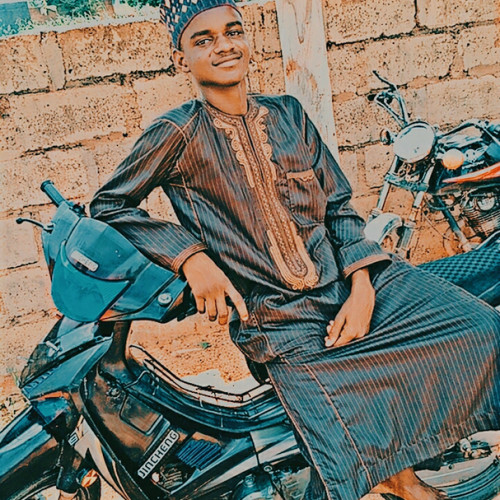 Ibrahim T. profile photo
