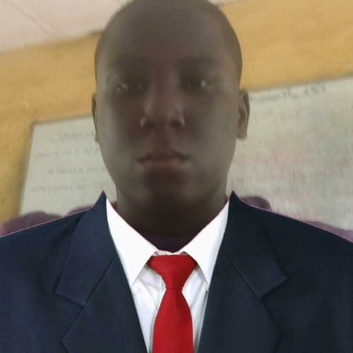 Borngreat O. profile photo