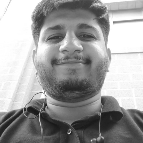 usman n. profile photo