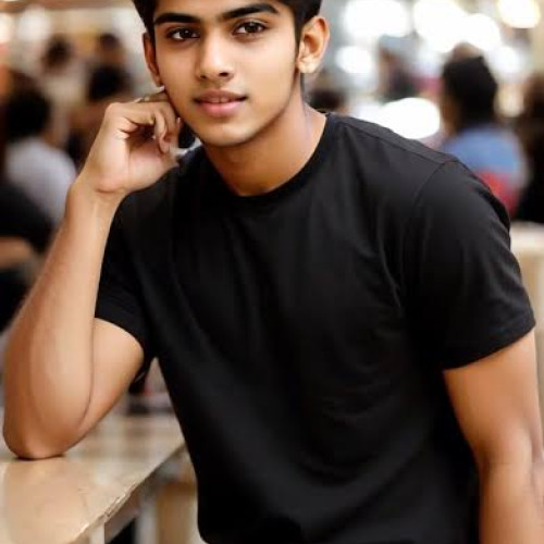 SIDD S. profile photo