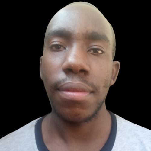kapino d.