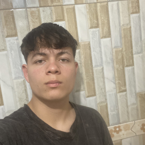 Dilan  F. profile photo