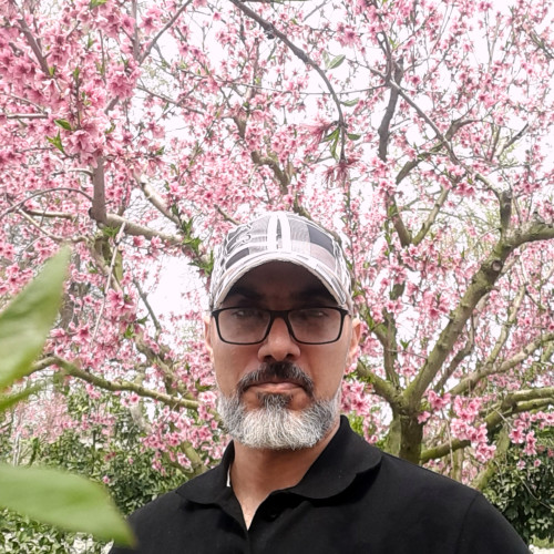 Reza M. profile photo