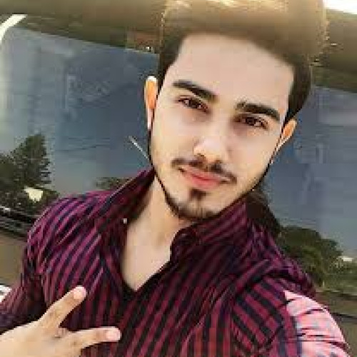 Ayush K. profile photo